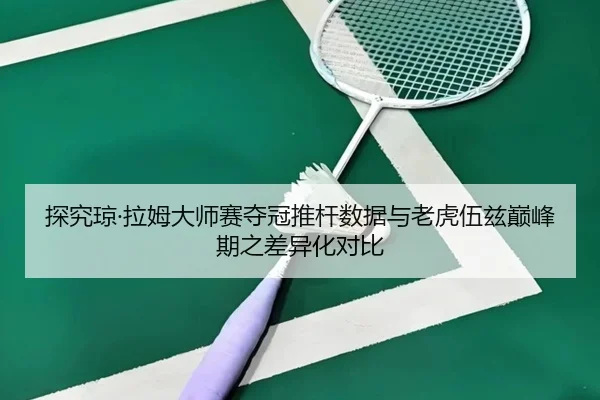 tan-jiu-qiong-la-mu-da-shi-sai-duo-guan-tui-gan-shu-ju-yu-lao-hu-wu-zi-dian-feng-qi-zhi-cha-yi-hua-dui-bi-3-144.jpg
