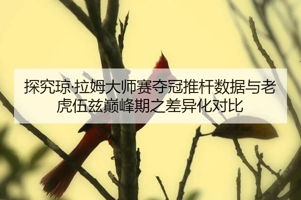 探究琼·拉姆大师赛夺冠推杆数据与老虎伍兹巅峰期之差异化对比