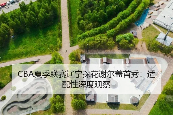 CBA夏季联赛辽宁探花谢尔盖首秀：适配性深度观察