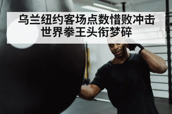 boxer punching heavy bag